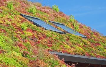 Queenstown living roof systems