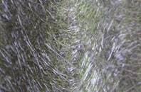 Queenstown fibreglass roof work